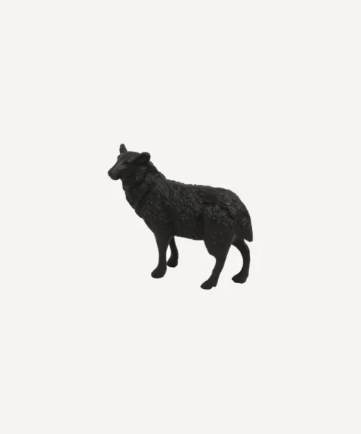 Black Sheep