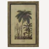 Botanical Wall Art Species B