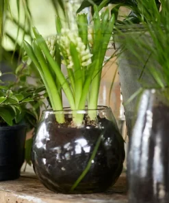 Dappled Clear Bowl Vase