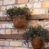 Esk Hurricane Wall Sconce