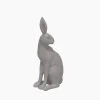 Harold the Hare Turning Grey