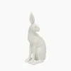 Harold the Hare Turning White