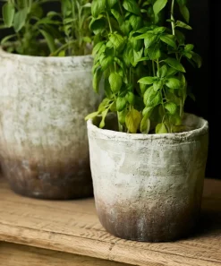 Marron Planter Pot Large