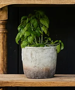 Marron Planter Pot Medium