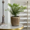 Stone Glazed Terracotta Pot